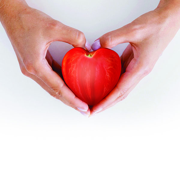 Cuore Dossimo F1